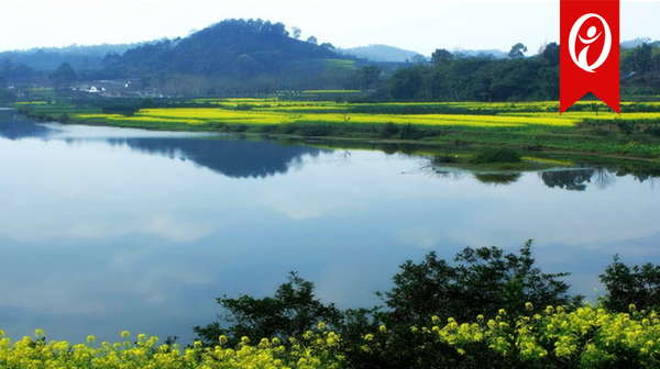 成都·浦江 ┃ 朝阳湖大酒店